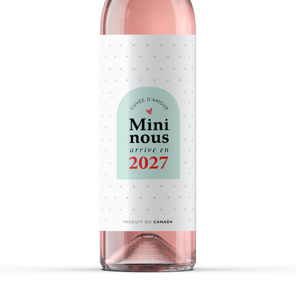 Étiquettes pour bouteille de vin – Annonce de grossesse | Ensemble de 2